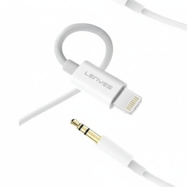 LENYES Lightning to AUX Cable AX106