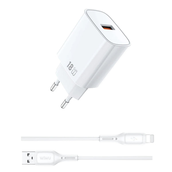 WiWU Essen GaN Fast Charger+Cable Combo (EU) Wi-G006