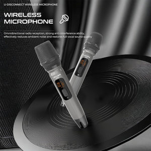 LENYES KTV SPEAKER 400W S873