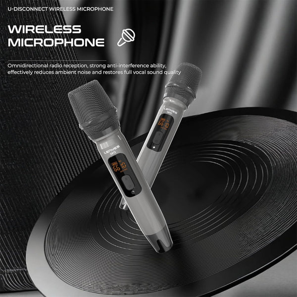 LENYES KTV SPEAKER 400W S873