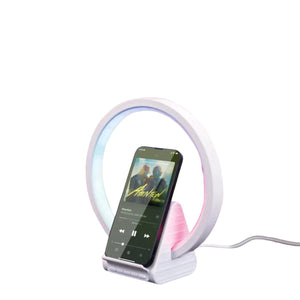 WIWU 2 in 1 Speaker Wi-W021