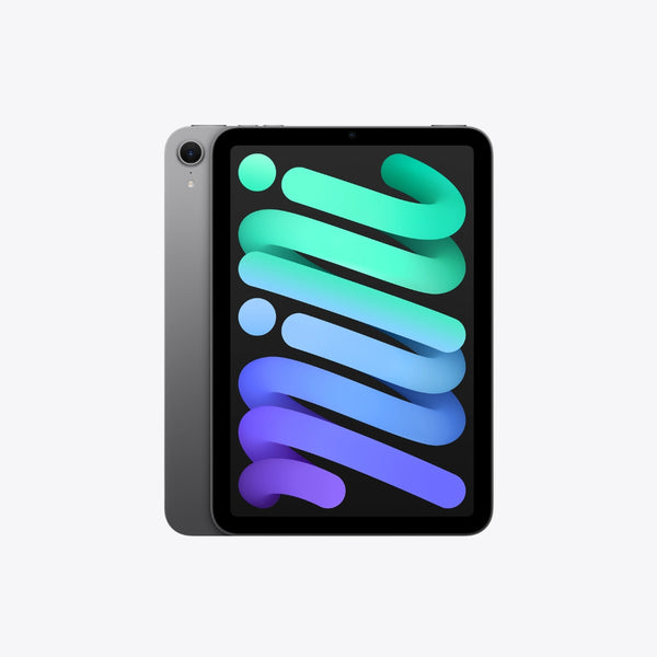 iPad Mini Wi-Fi & Cellular