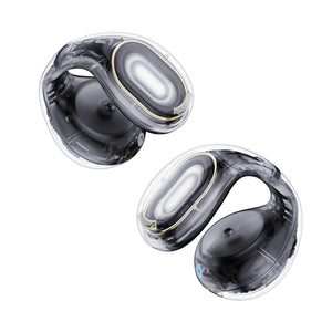 Anker soundcore C30i Earphone