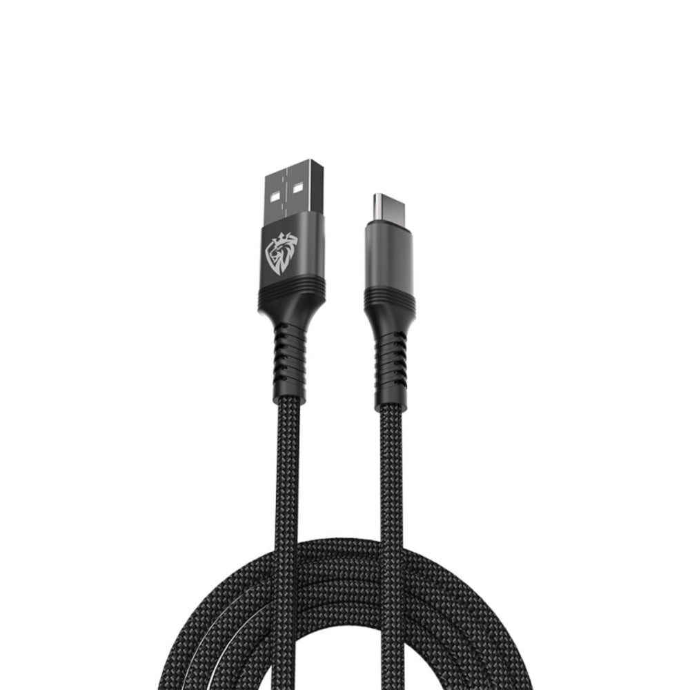 LENYES Fast Charging Cable LC980