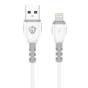 LENYES Charging Cable LC979