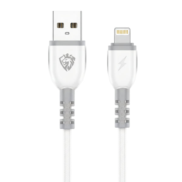 LENYES Charging Cable LC979