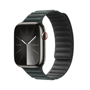 WIWU Magnetic Loop Watch Band Wi-WB011