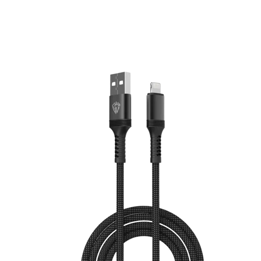 LENYES Fast Charging Cable LC980