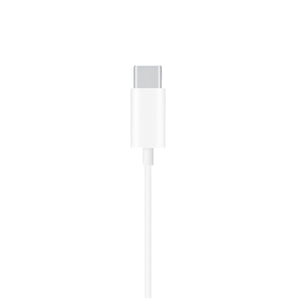 WIWU Earbuds 303 Type C