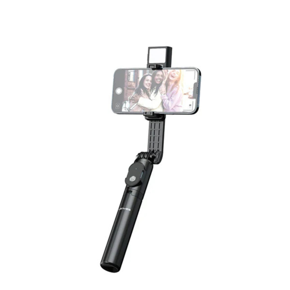 LENYES Tripod & Selfie Stick with Ring Light LPH101
