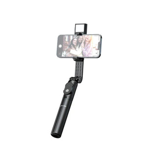 LENYES Tripod & Selfie Stick with Ring Light LPH101
