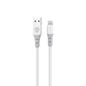 LENYES Durable Charging & Data Cable LC967