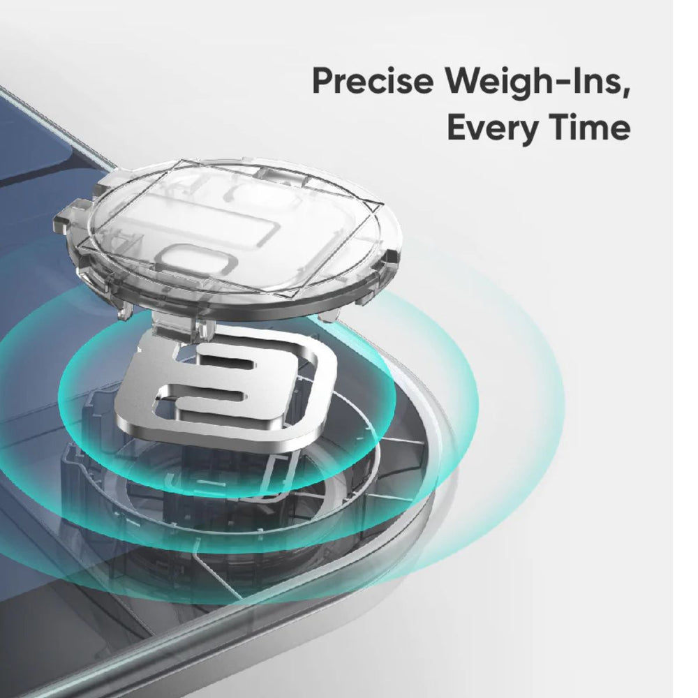 ANKER Eufy Smart Scale P3 T9150K11