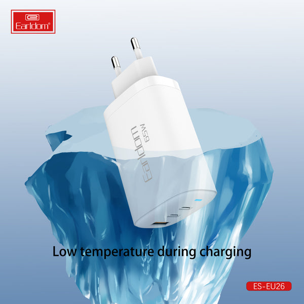 Earldom ES-EU26 65W Charger