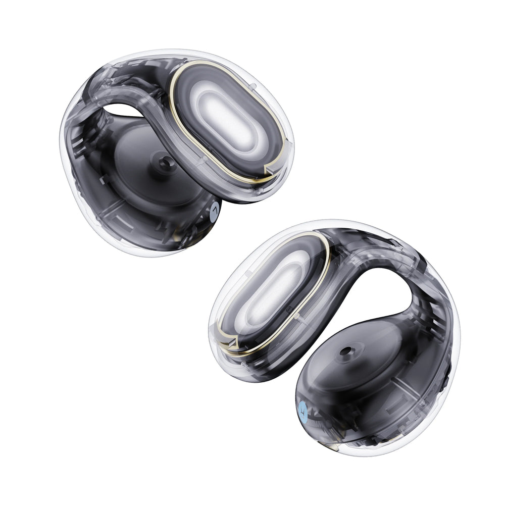 Anker soundcore C30i Earphone