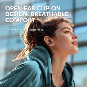 Anker soundcore C30i Earphone