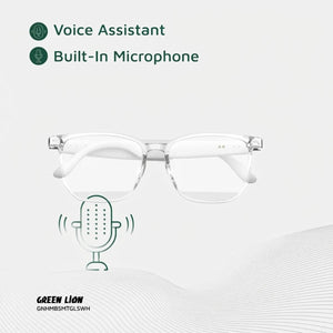 Green_Lion_Hamburg_Smart_Glasses