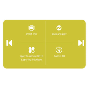 YESIDO YAU31 Lightning to 3.5mm Audio Adapter